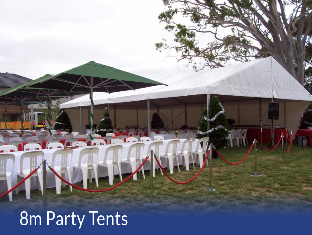 Party Tent 8m